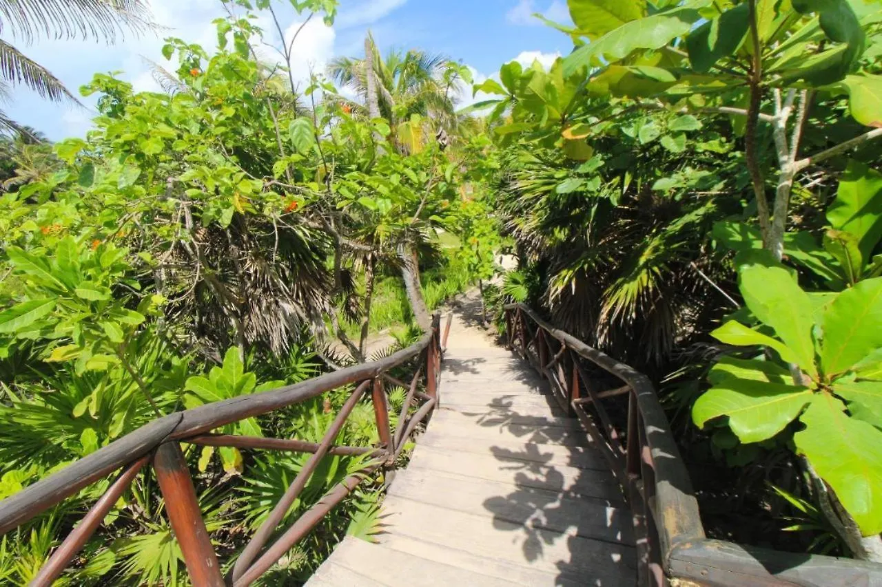 Brand New! Tulum Jungle Villa With Private Pool 0*,  Mexico